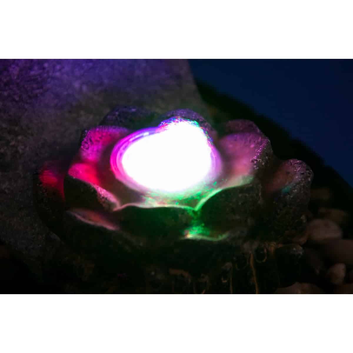 Licht, Zubehör, Edelstein, Schmuck, Aufflackern