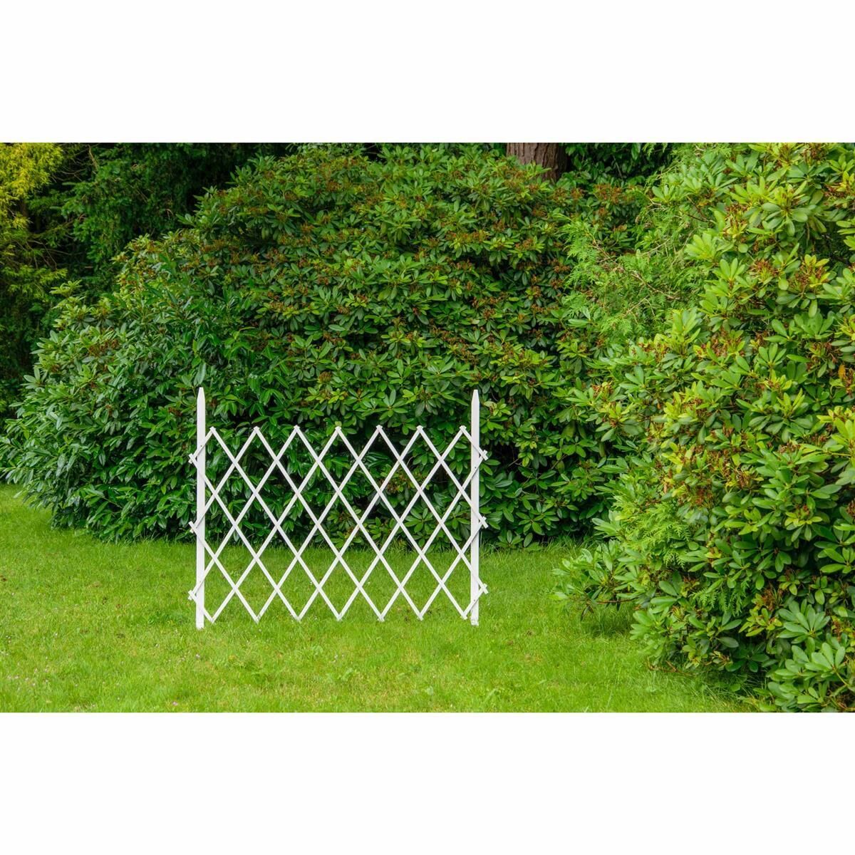 Zaun, Hecke, Gras, Hinterhof, Innenarchitektur