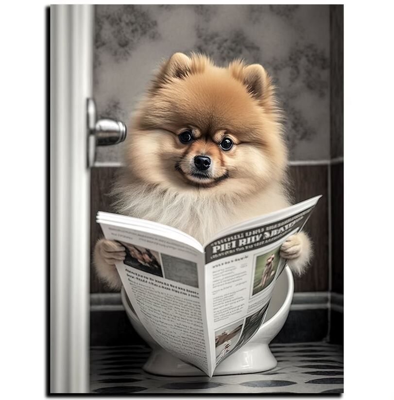 Person, Lesen, Hund, Säugetier, Haustier