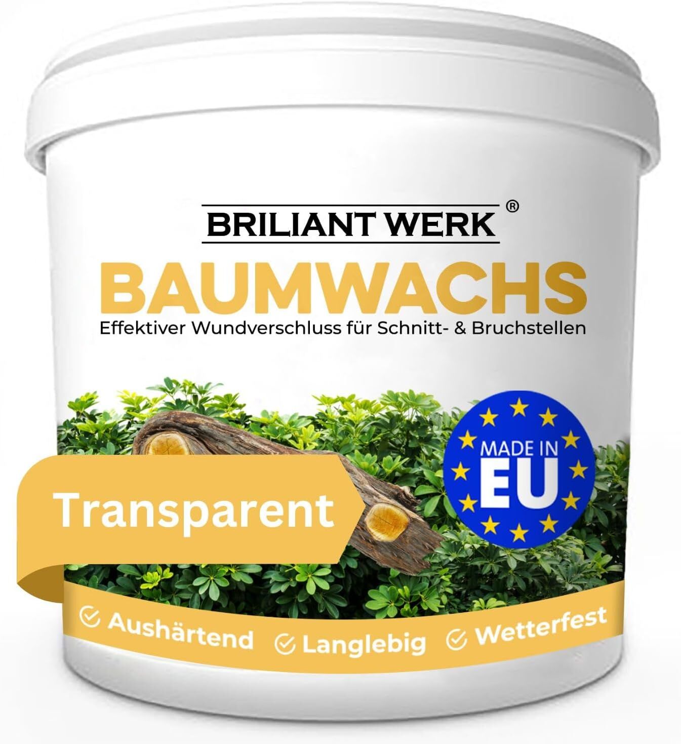 Kräuterig, Kräuter, Pflanze