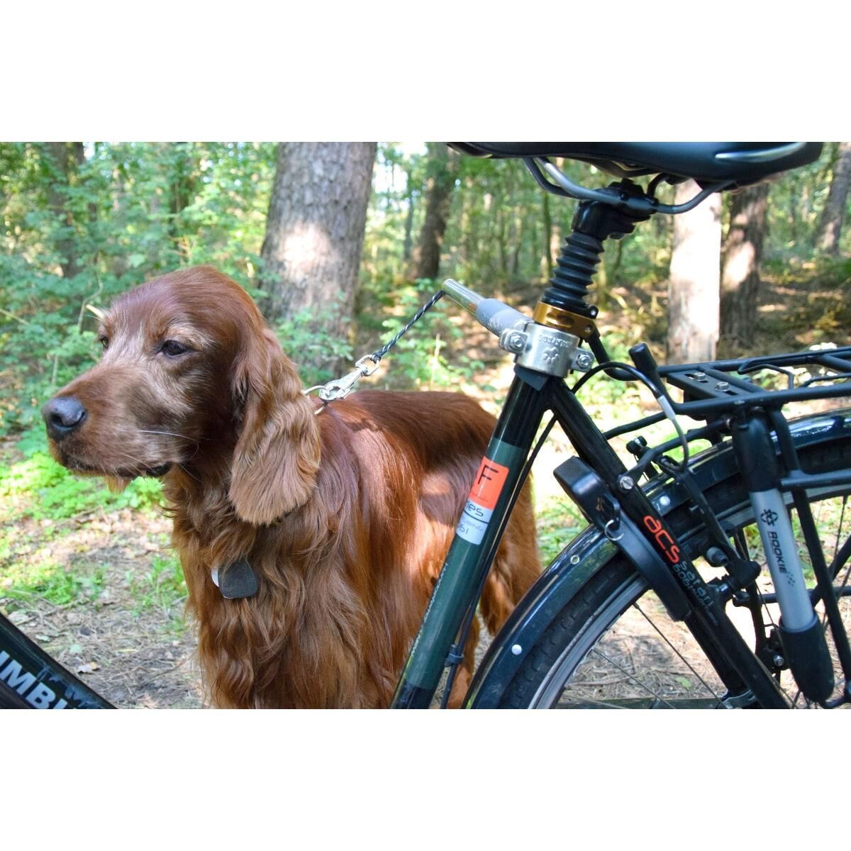 Fahrrad, Transport, Fahrzeug