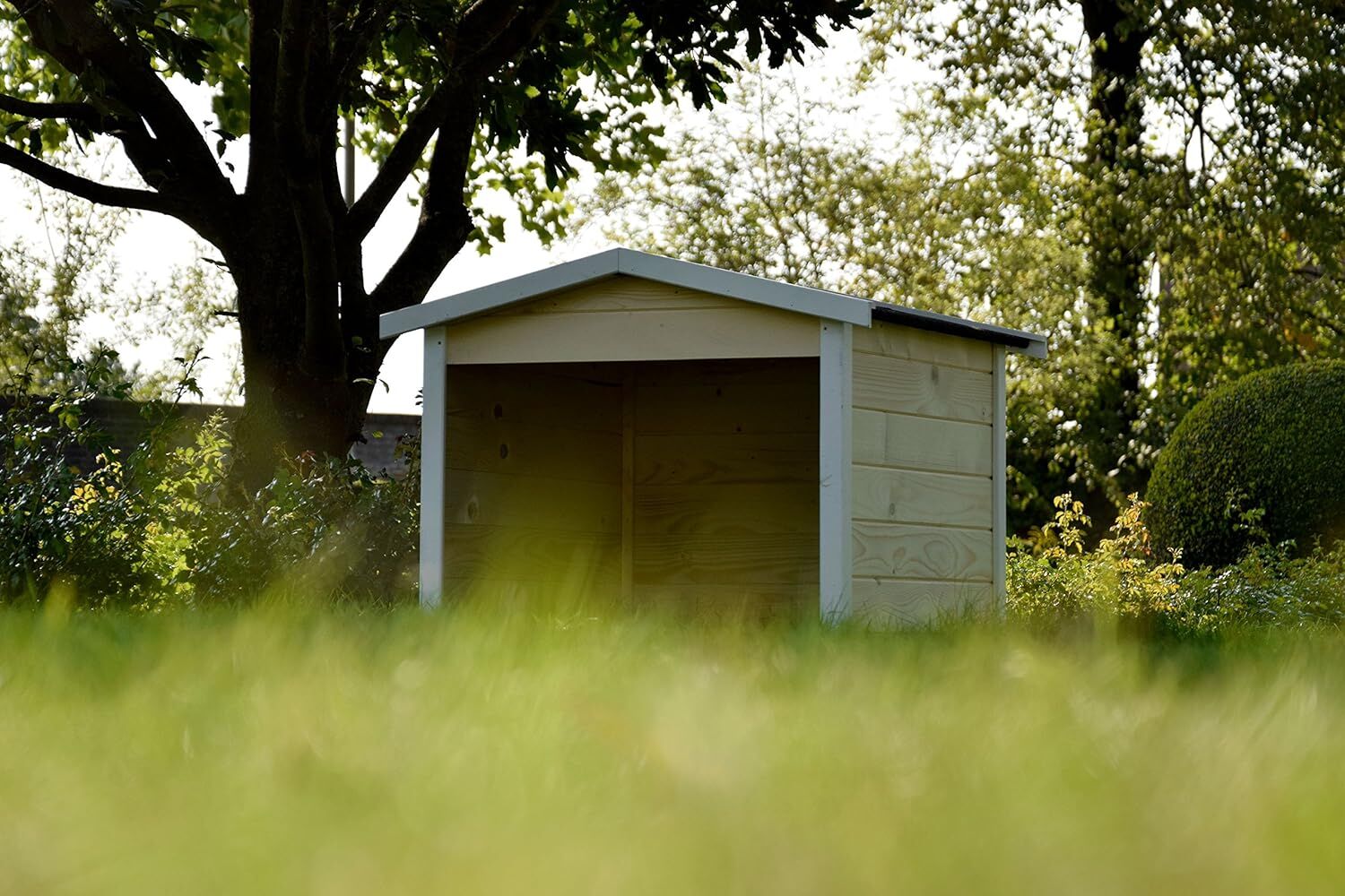 Draußen, Unterschlupf, Gras, Baum, Bewuchs
