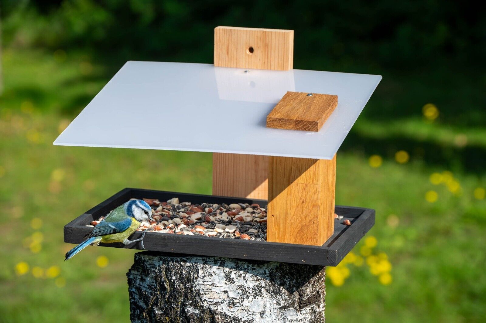 Tier, Vogel, Futterhäuschen für Vögel