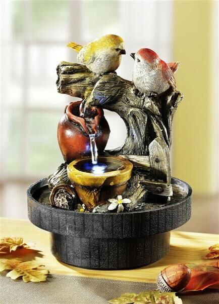Architektur, Springbrunnen, Wasser, Tier, Vogel