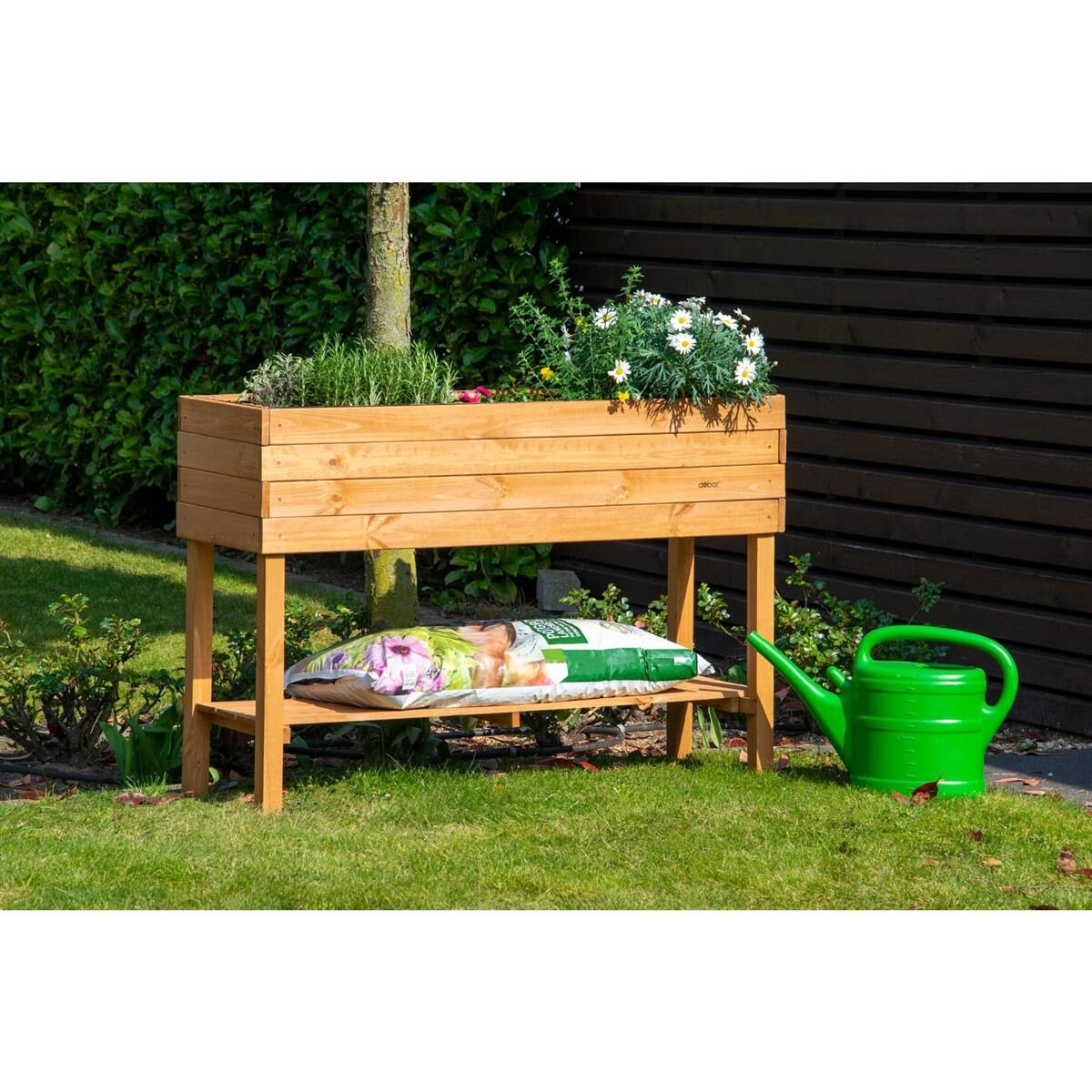 Topfpflanze, Innenarchitektur, Gras, Holz, Pflanzgefäß
