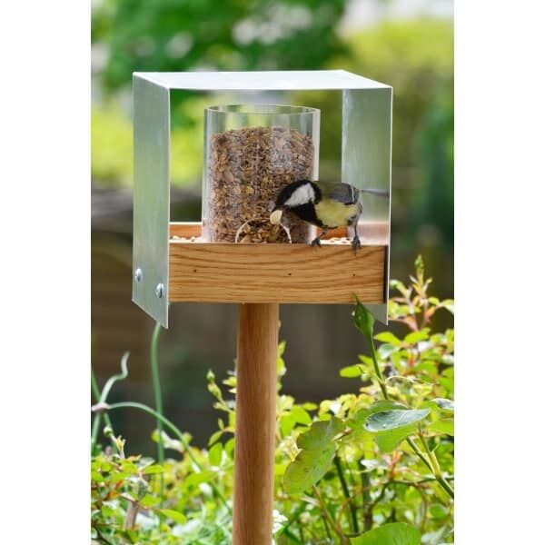 Futterhäuschen für Vögel, Tasse