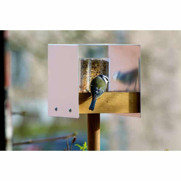 Futterhäuschen für Vögel, Tier, Vogel