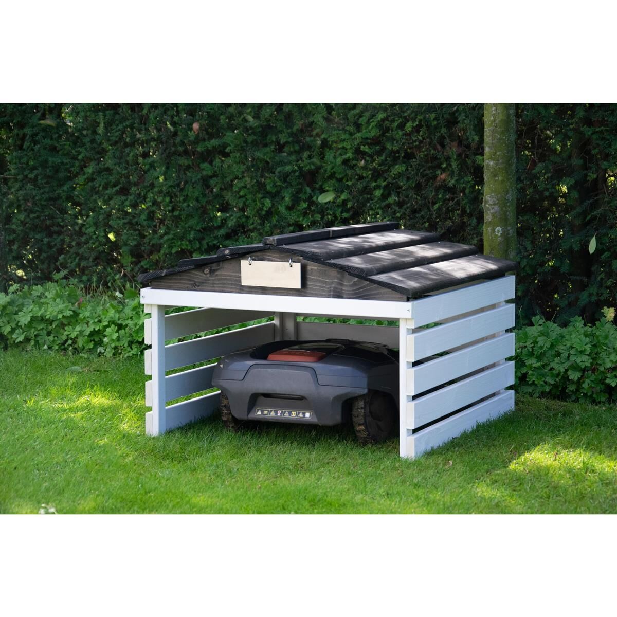 Garage, Drinnen, Gras, Pflanze