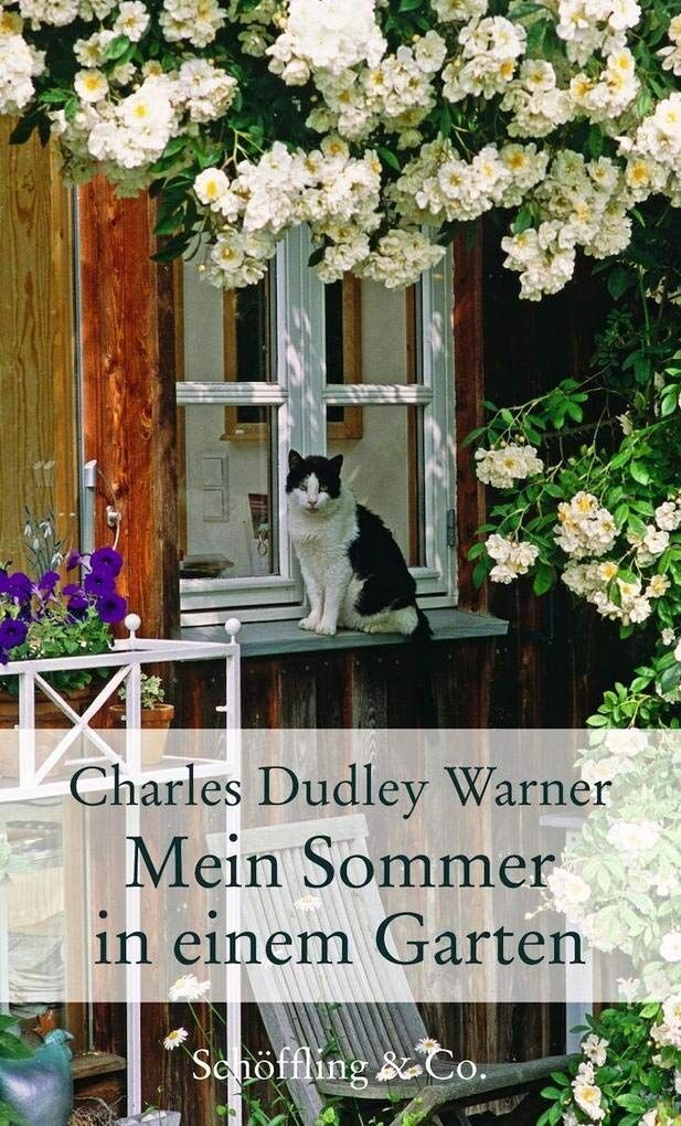 Pflanze, Pflanze im Topf, Katze, Blume, Veranda