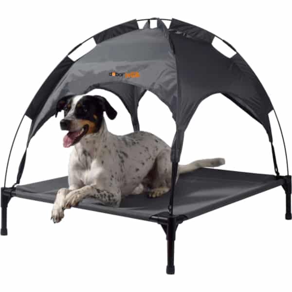 Hund, Haustier, Zelt, Krippe, Bett für Säuglinge