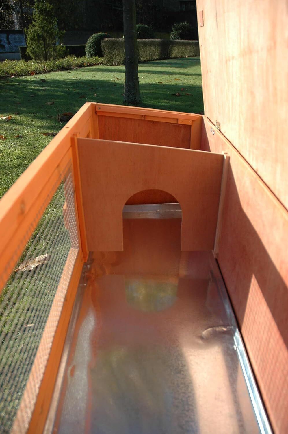 Gras, Pflanze, Spielbereich, Spielbereich im Freien, Draußen