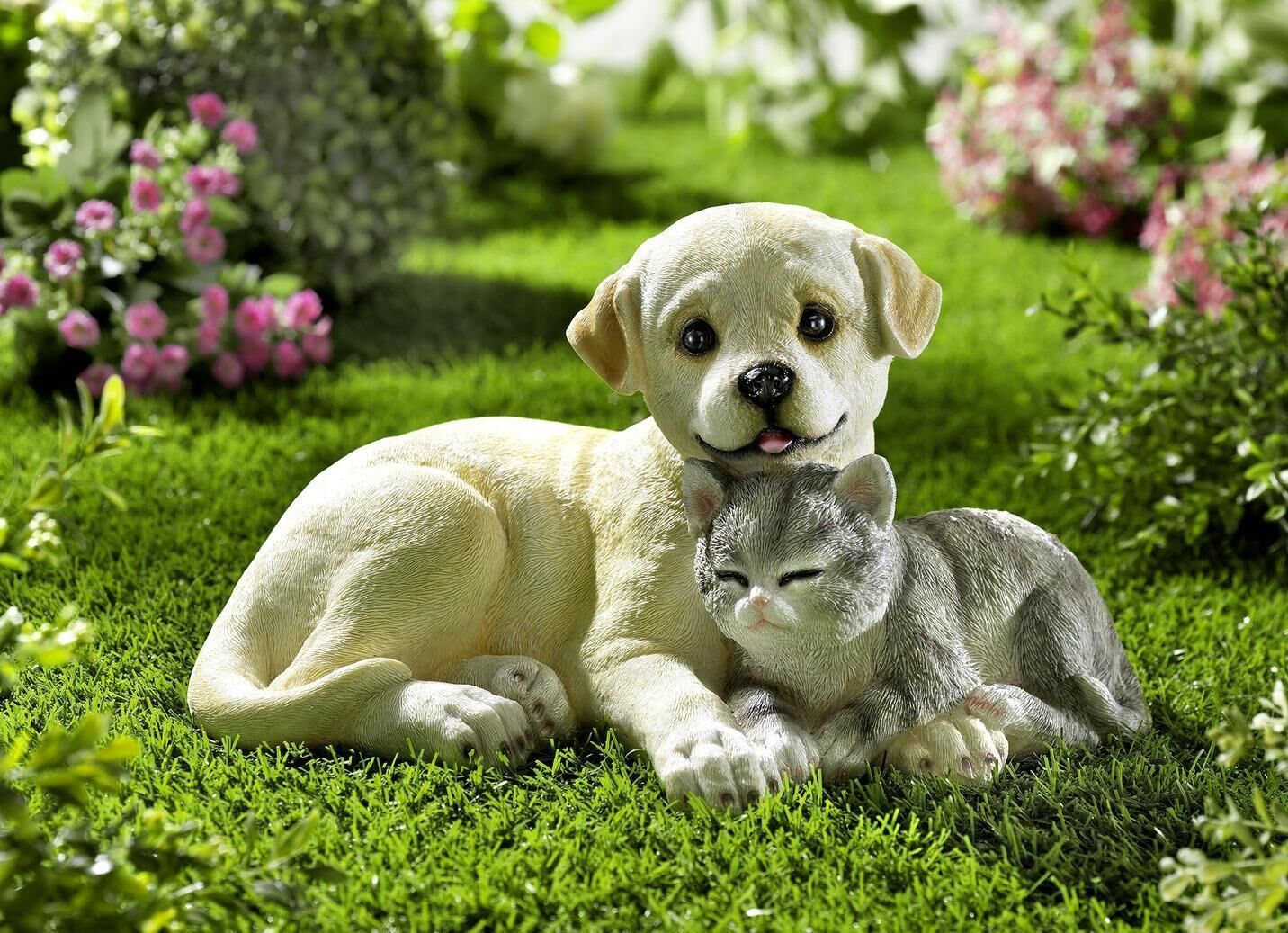 Gras, Welpe, Rasen, Bewuchs, Park