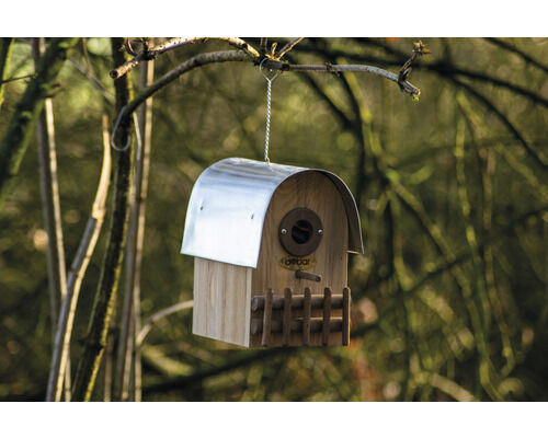 Postfach, Futterhäuschen für Vögel