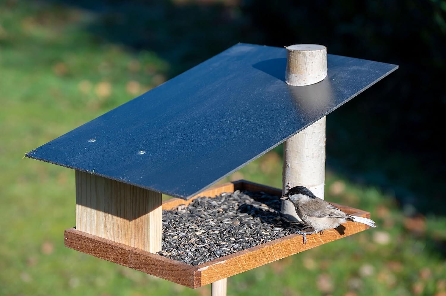 Tier, Vogel, Futterhäuschen für Vögel