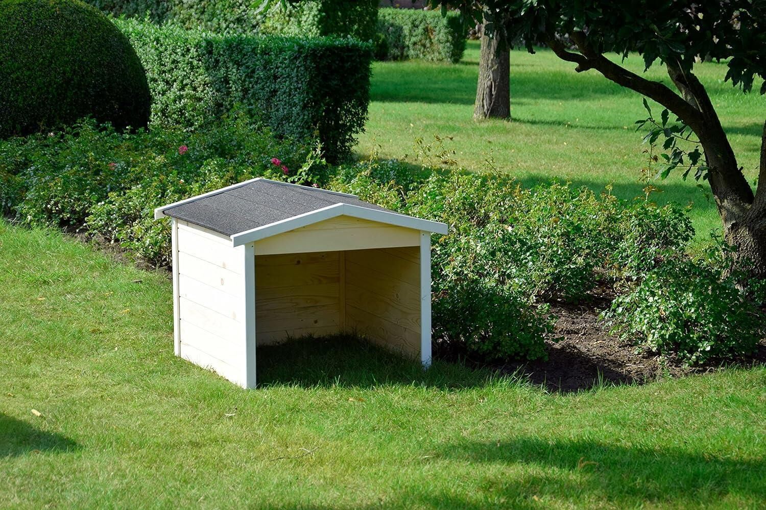 Gras, Pflanze, Hundehütte, Hinterhof, Rasen