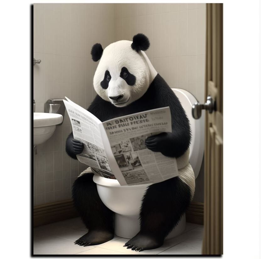 Tier, Bär, Großer Panda, Säugetier, Tierwelt