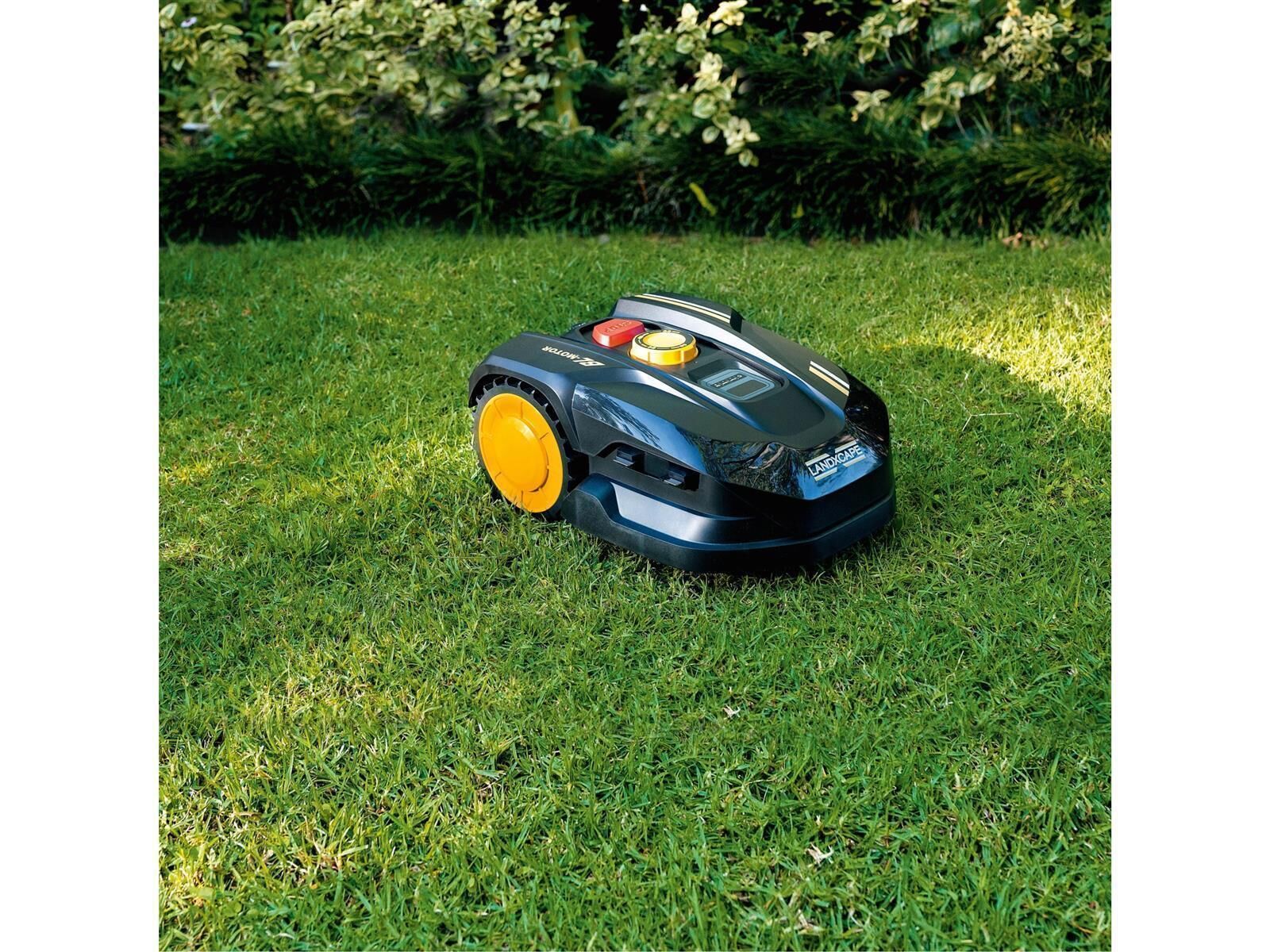 Gras, Rasen, Pflanze, Gerät, Rasenmäher