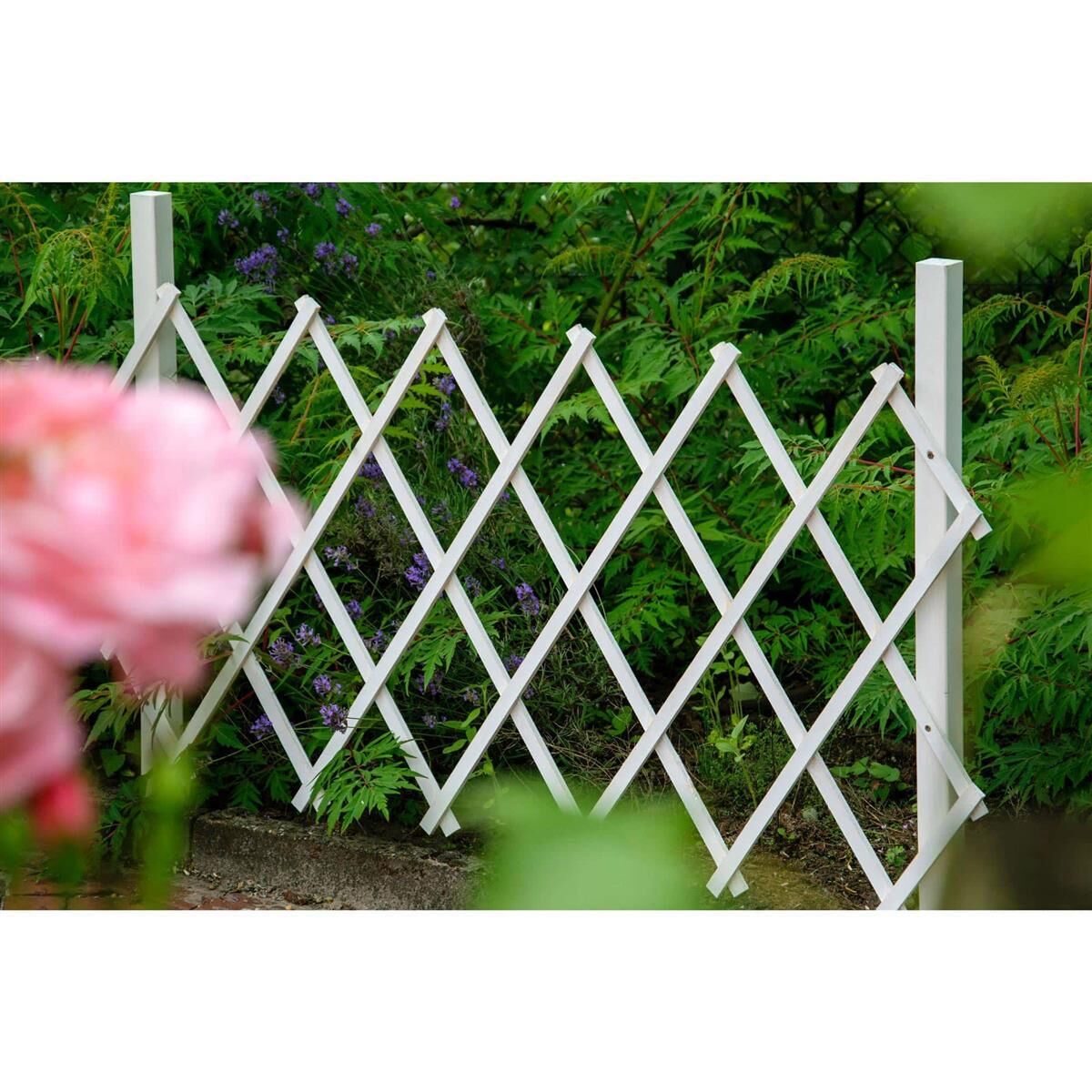 Zaun, Natur, Draußen, Hof, Hinterhof