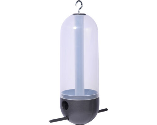 Lampe