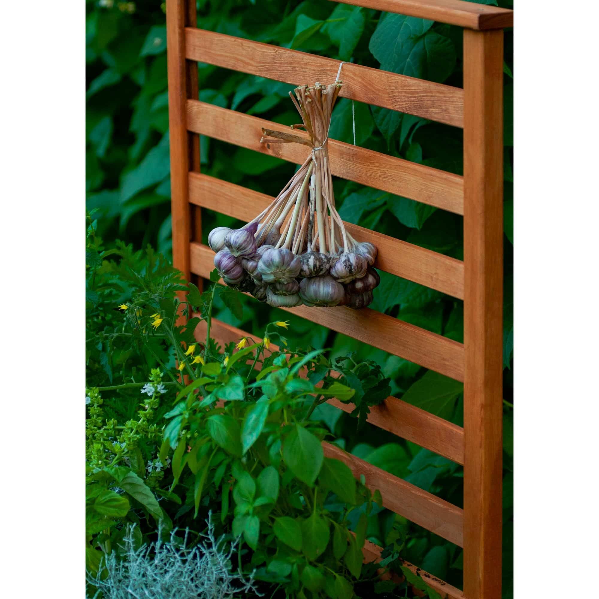 Drinnen, Innenarchitektur, Holz