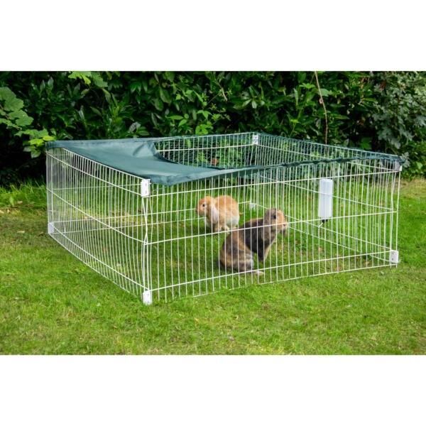 Den, Drinnen, Affe, Wildtiere, Bär