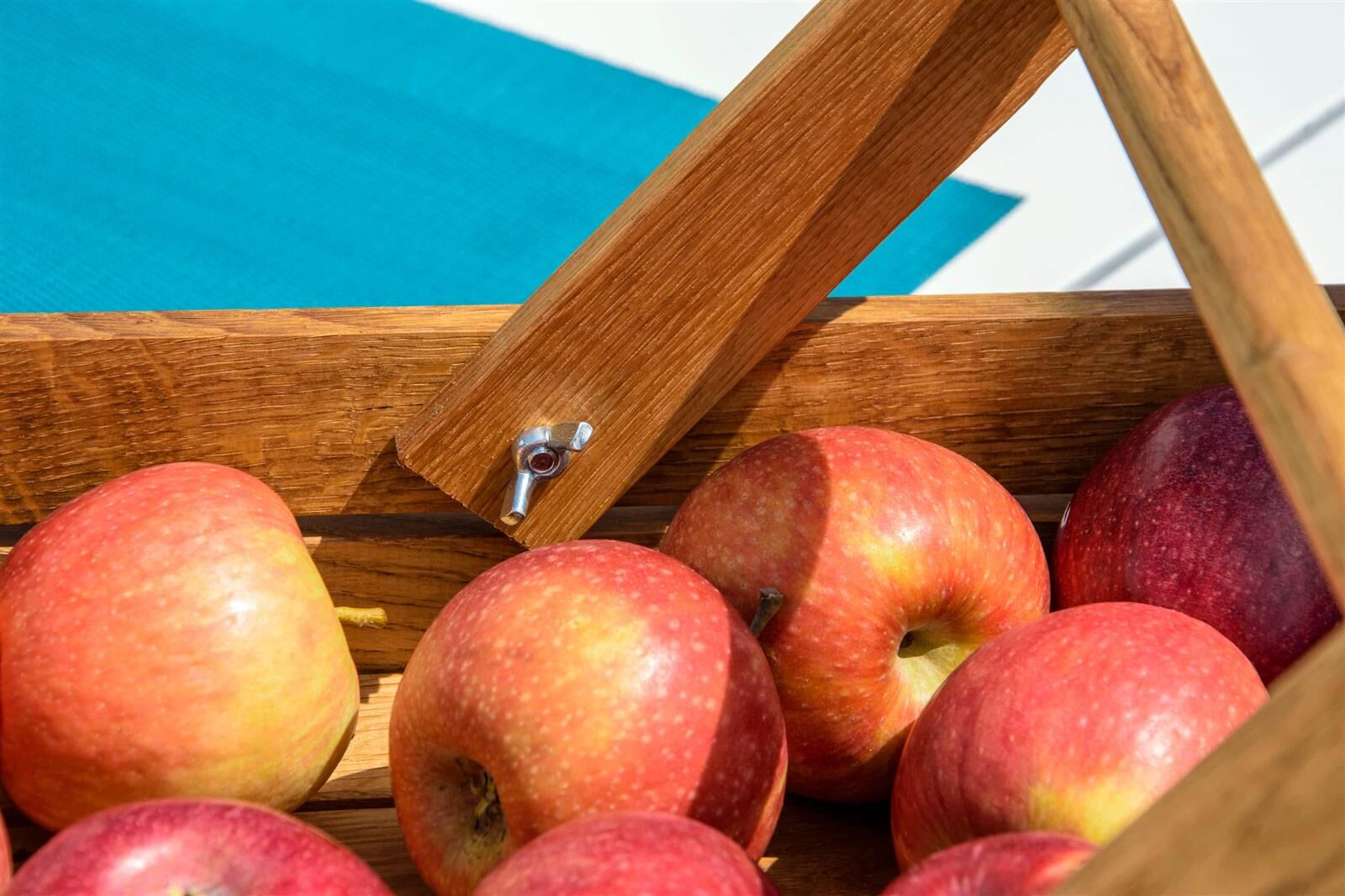 Utensil für die Küche, Apfel, Obst, Pflanze, Produzieren