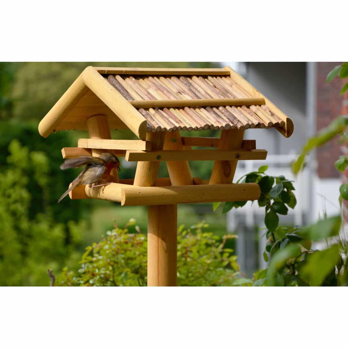 Tier, Vogel, Holz, Futterhäuschen für Vögel