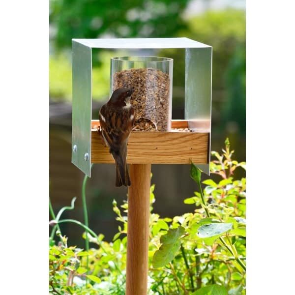 Tier, Vogel, Futterhäuschen für Vögel