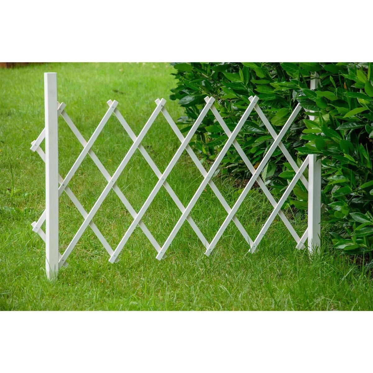 Zaun, Gras, Pflanze, Rasen, Hinterhof