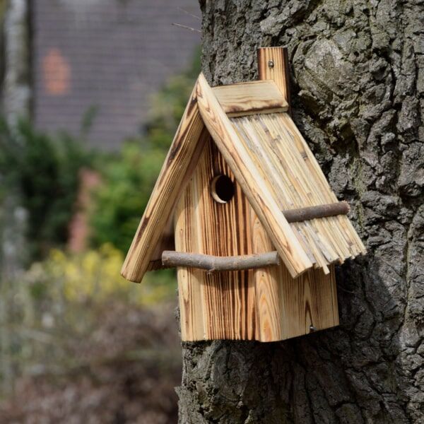 Holz, Hartholz, Gebeiztes Holz