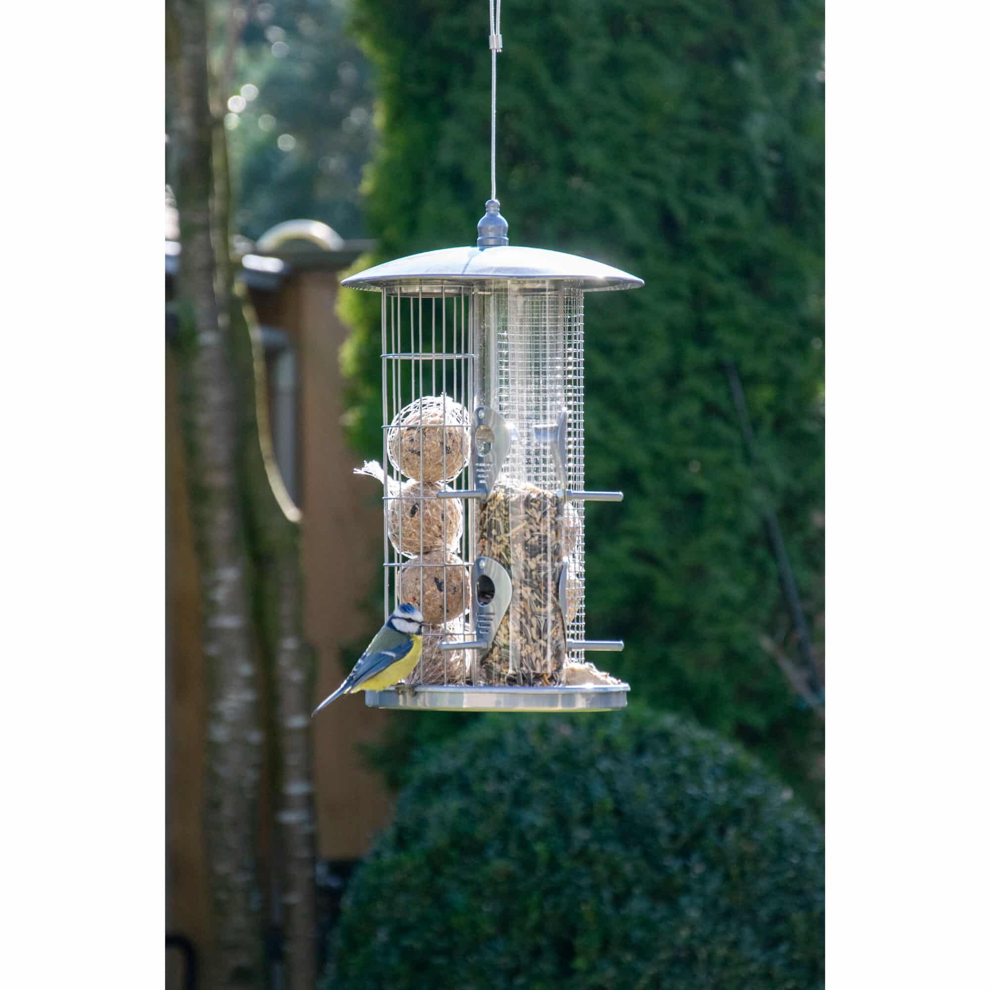 Vogelfutterautomat, Vogelfutter, Vogelhaus, Futterspender, Futterknödel