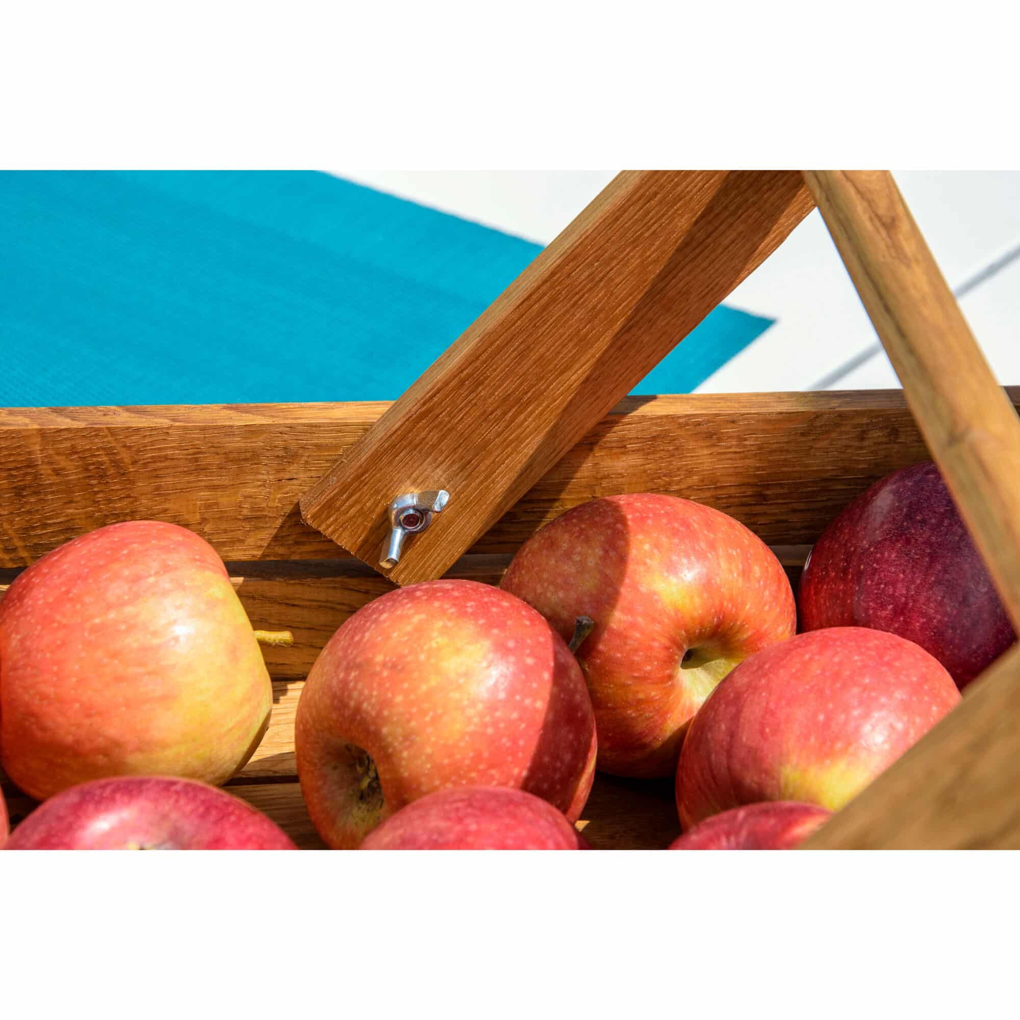 Apple, Obst, Pflanze, Produzieren, Küchenutensilien