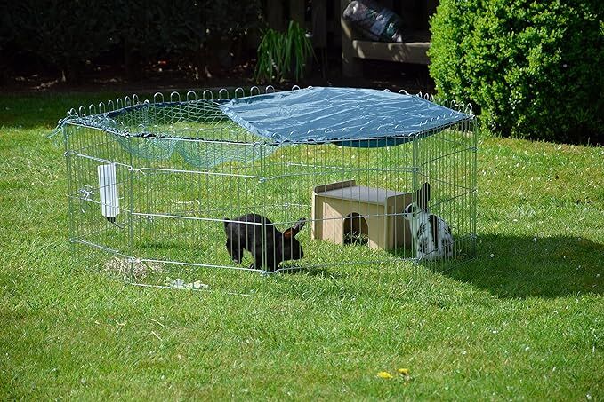Den, Drinnen, Hund, Hundehütte, Kuh