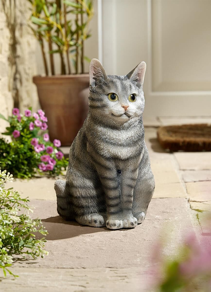 Pflanze, Pflanze im Topf, Tier, Katze, Haustier