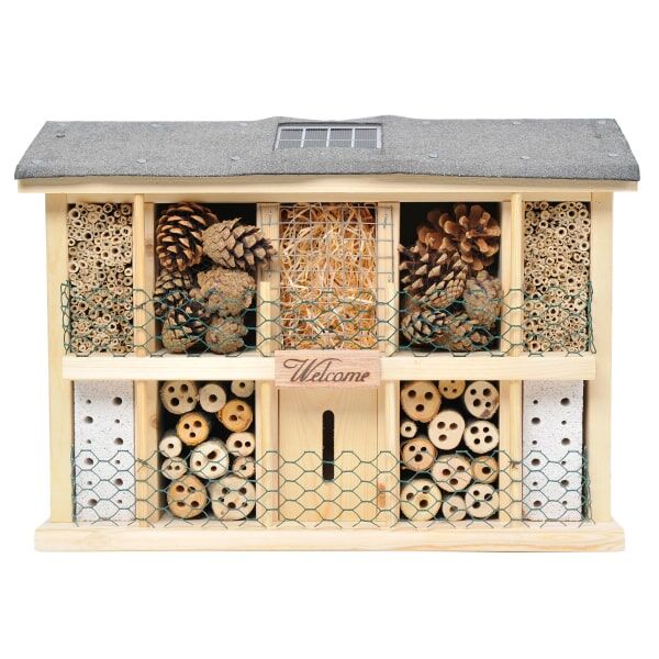 Holz