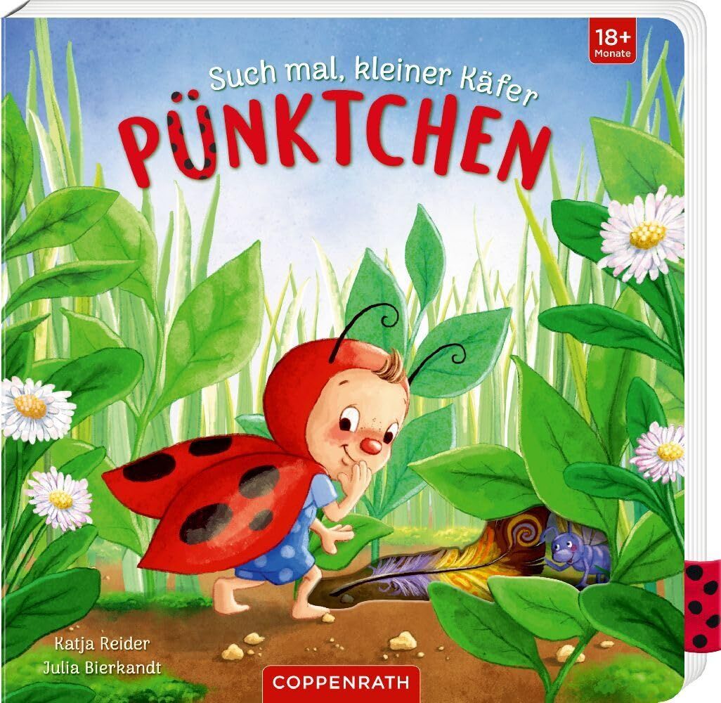 Kräuter, Pflanze, Gänseblümchen, Blume