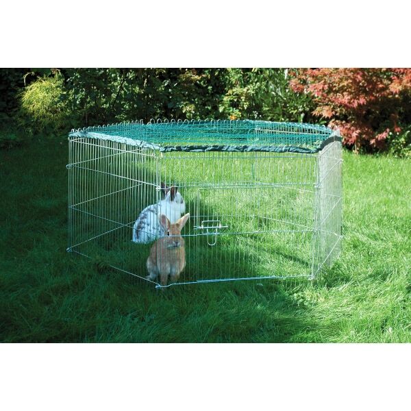 Tier, Säugetier, Hase