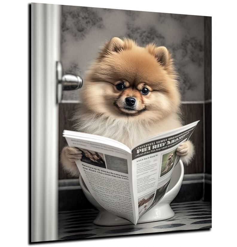 Person, Lesen, Hund, Säugetier, Haustier