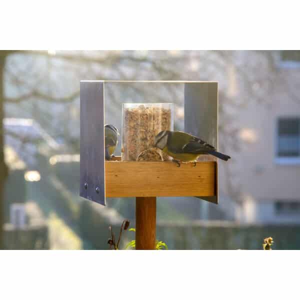 Tier, Vogel, Futterhäuschen für Vögel