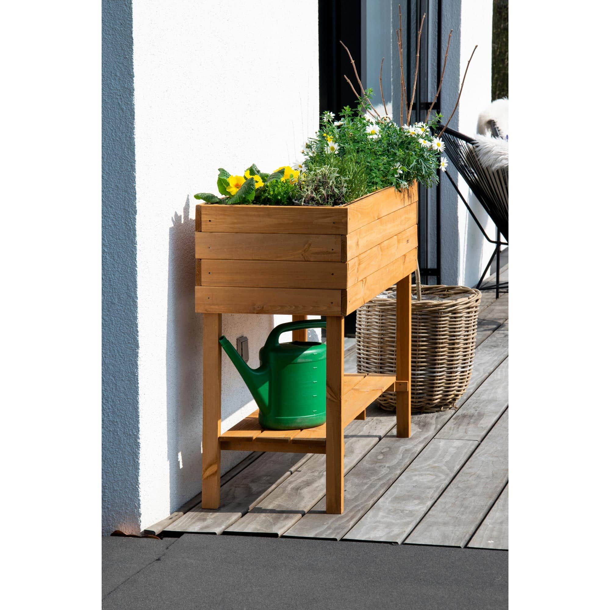 Topfpflanze, Pflanzgefäß, Töpferei, Innenarchitektur, Holz