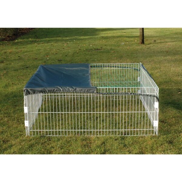 Den, Drinnen, Hundehütte, Zwinger