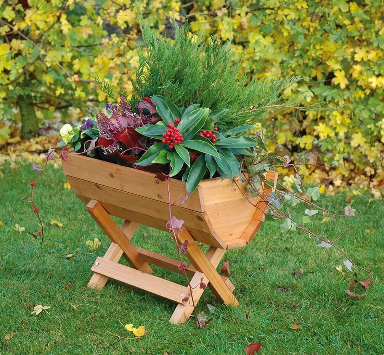 Topfpflanze, Hartholz, Holz, Gebeiztes Holz, Töpferei