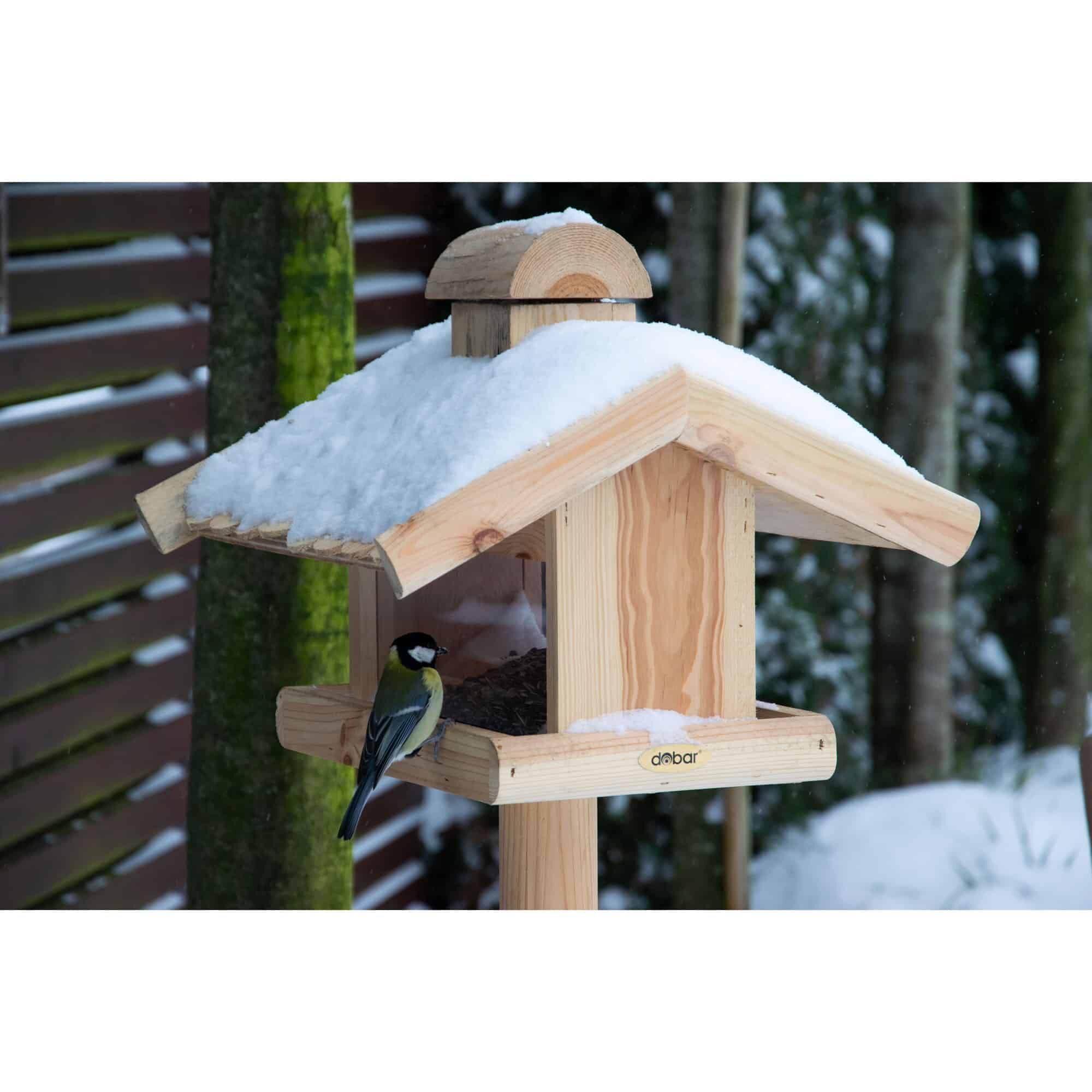 Tier, Vogel, Futterhäuschen für Vögel