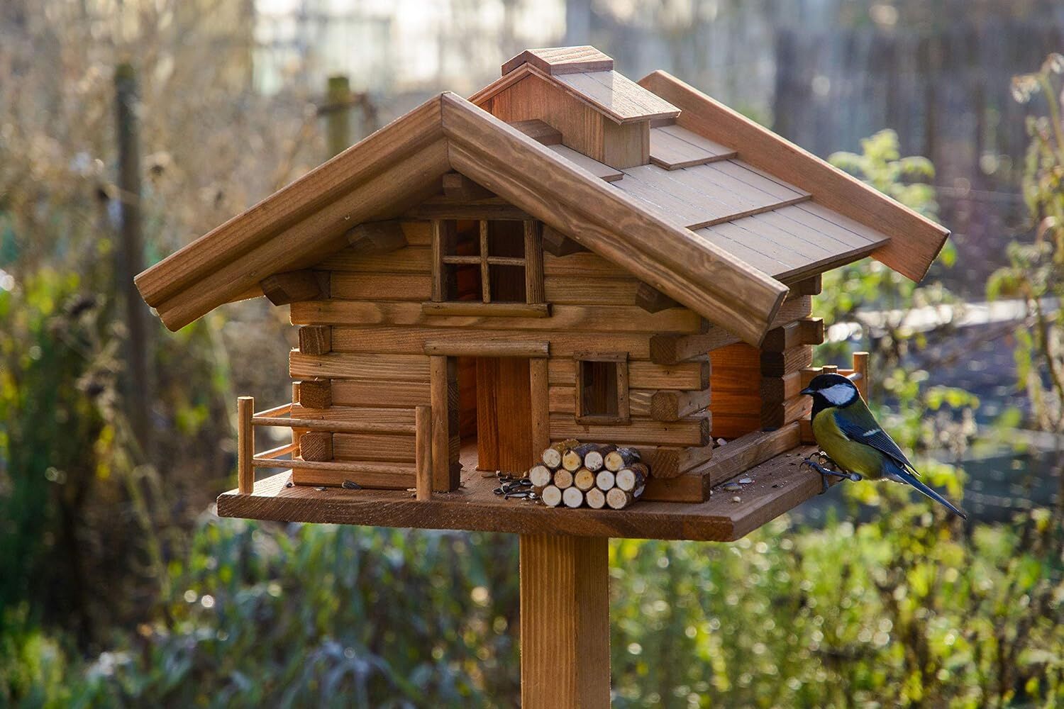 Holz, Hartholz, Gebeiztes Holz, Tier, Vogel