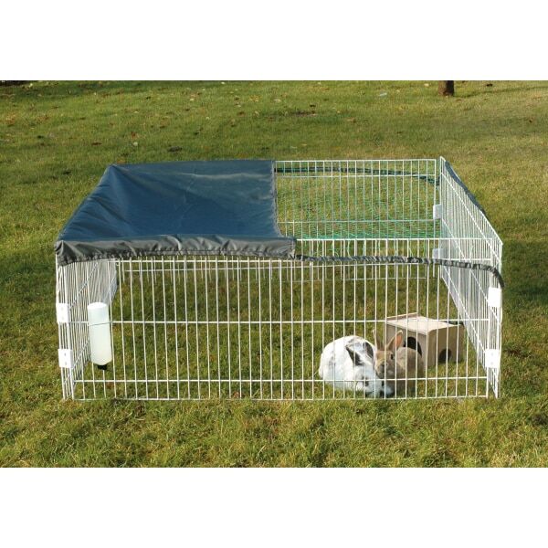 Den, Drinnen, Hund, Haustier, Zwinger