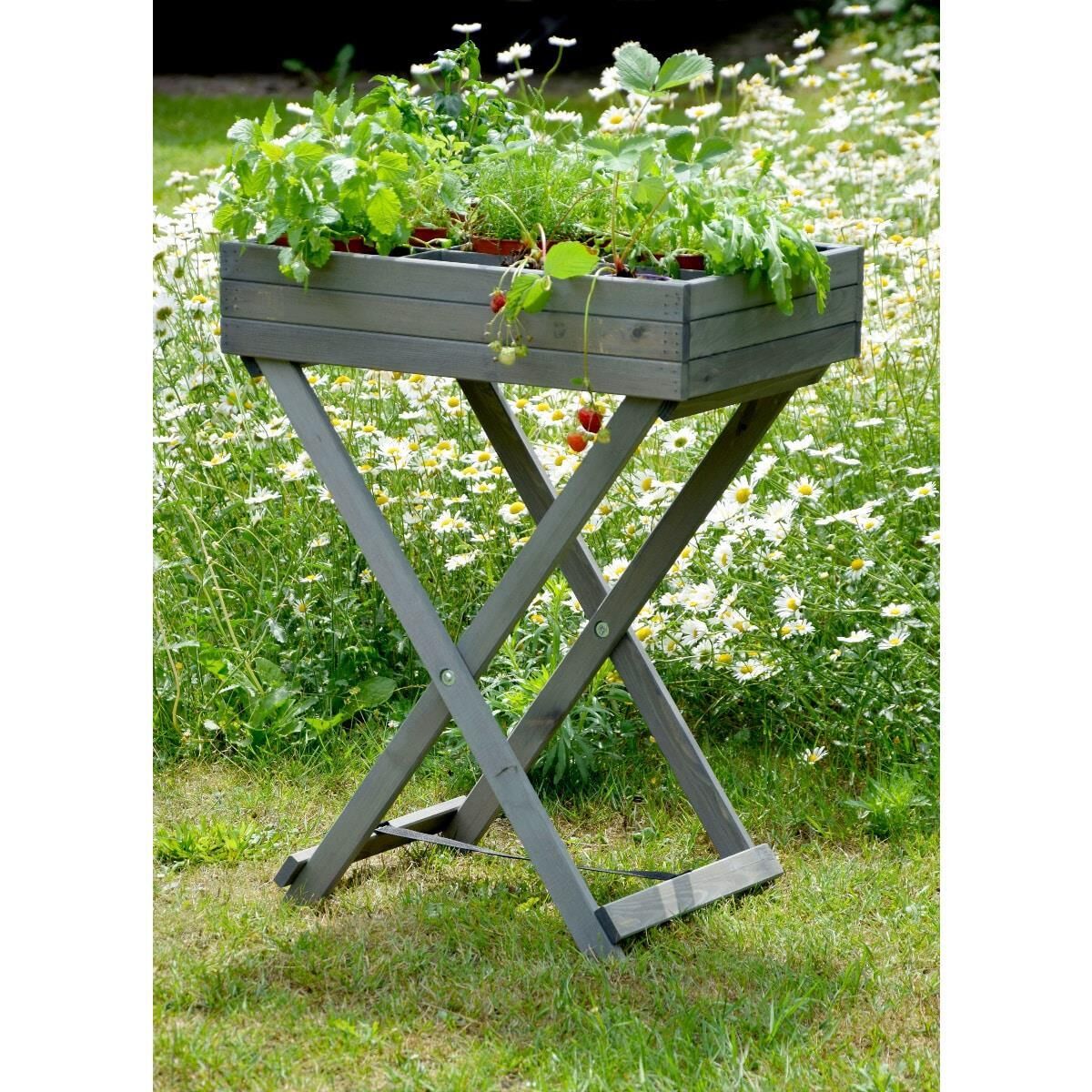 Topfpflanze, Krug, Pflanzgefäß, Töpferei, Vase