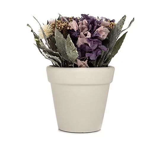Pflanze, Pflanze im Topf, Blumen-Arrangement, Blumenstrauß, Töpferei