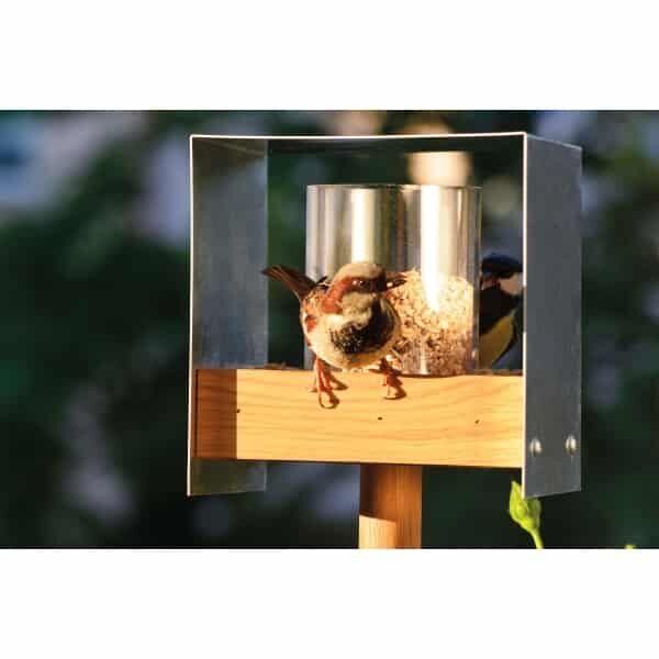 Futterhäuschen für Vögel, Tier, Vogel