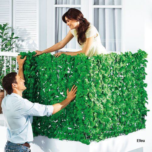 Topfpflanze, Zaun, Hecke, Garten, Person