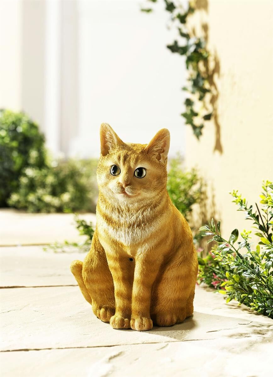 Bewegungsmelder Katze Ihren Außenbereich bereicherLebendige Gartendeko
